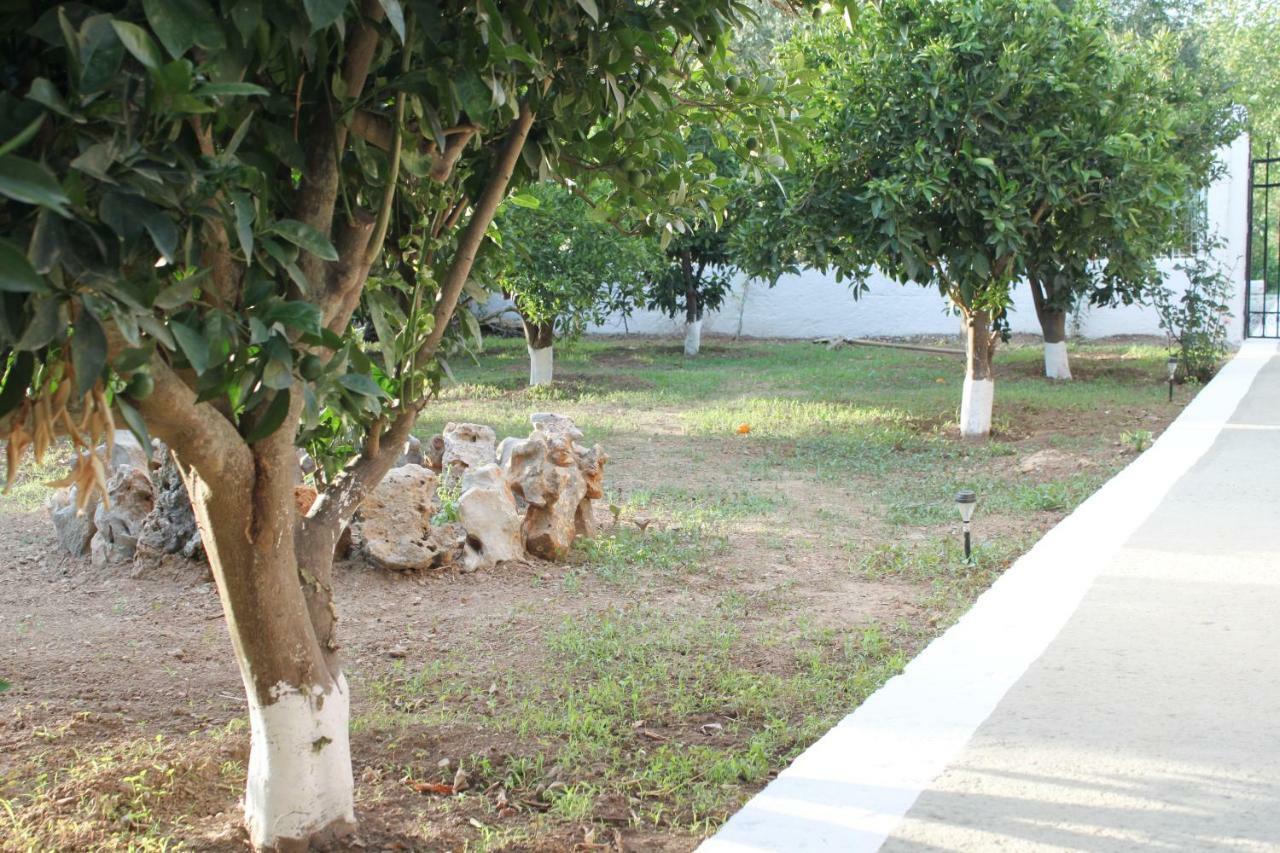 Elias Maro House Vila Avdou Exterior foto